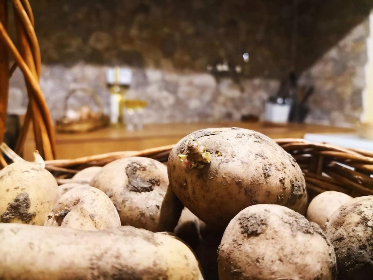 Casa Rural Los Organos De Arguamul 巴列埃尔莫索 外观 照片