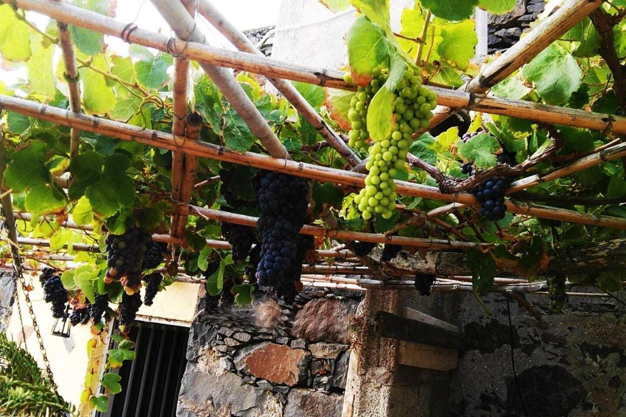 Casa Rural Los Organos De Arguamul 巴列埃尔莫索 外观 照片